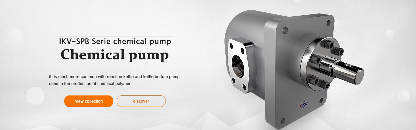 IKV-SPB Serie chemical pump